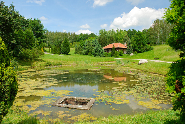 Arborétum - Tesárske Mlyňany